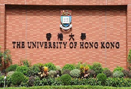 HKU Scientists Unveil Discovery Impacting Obesity and Osteoporosis Treatments